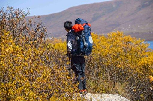 探索村书记能私自卖买集体企业吗,加入知识星球平台