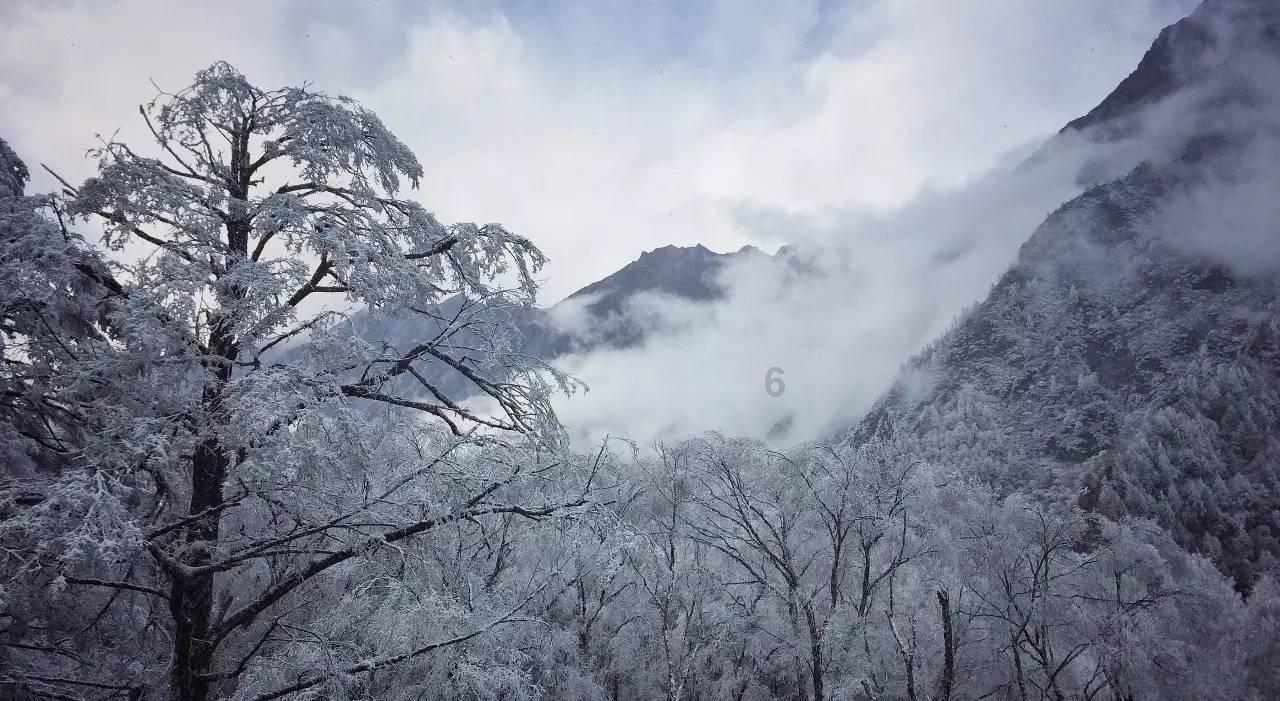 春雨直播app