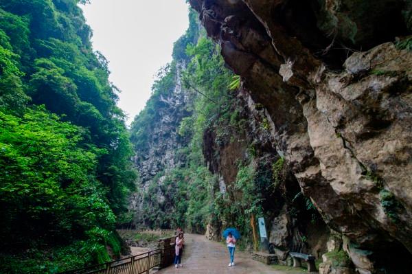 高峰《如果爱·就表白》获北京国际网络电影展年度十佳导演