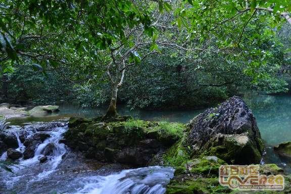 杨幂粉色浴袍秀幸福,惊艳现身撸猫模样