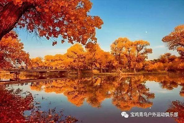 看中控识车，请问这个是什么车？游戏画面