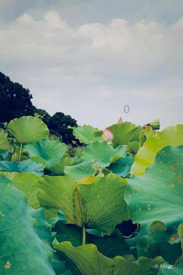 为什么现在的手机内存越来越大，但还总是不够用？有哪些内存刺客app？游戏画面