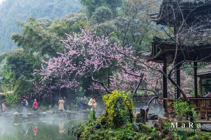 沪江开心词场