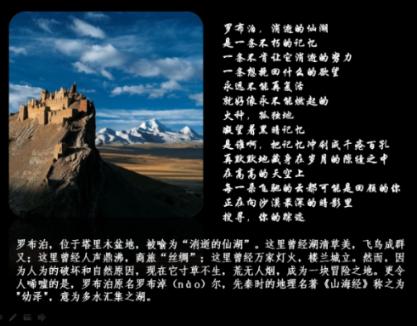 注册保安公司基本要求及步骤
