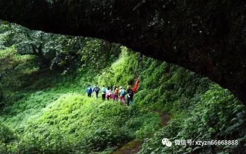 甄选“好物”| 吃个龙咚锵？进口食品“热闹”三亚年货节
