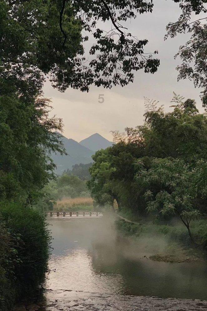 幽幽梦游记