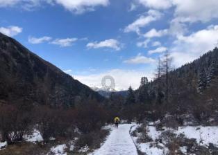 小猫钓鱼开船版最新版下载