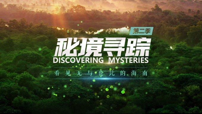测试你的桃花运