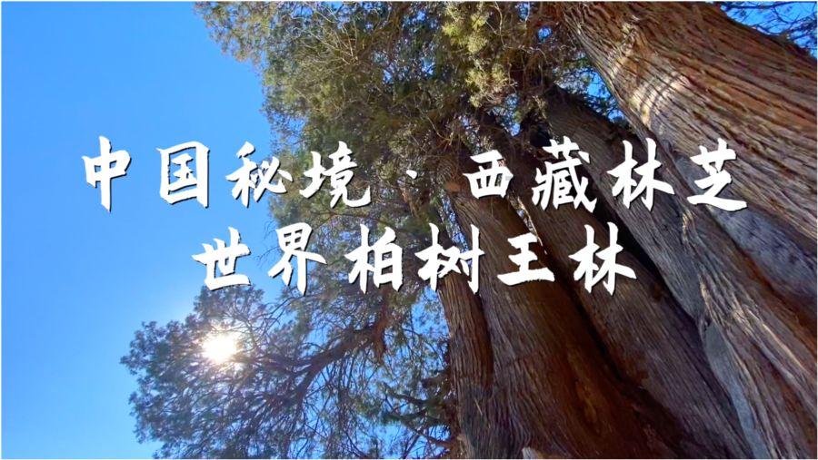 老婆亲手搓出来的五香萝卜干,以前不知道萝卜干还能这么好吃!