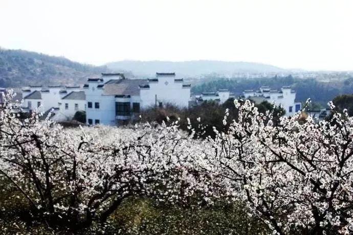 迪吉宫逃脱