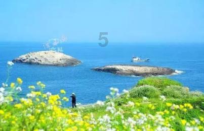 “山委员”与“海委员”，奔跑在同一条赛道上