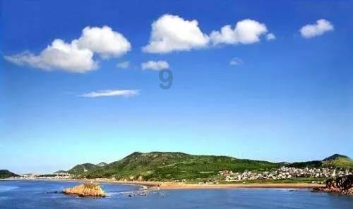 虫虫助手下载