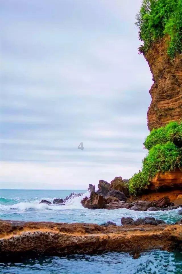 沪江开心词场