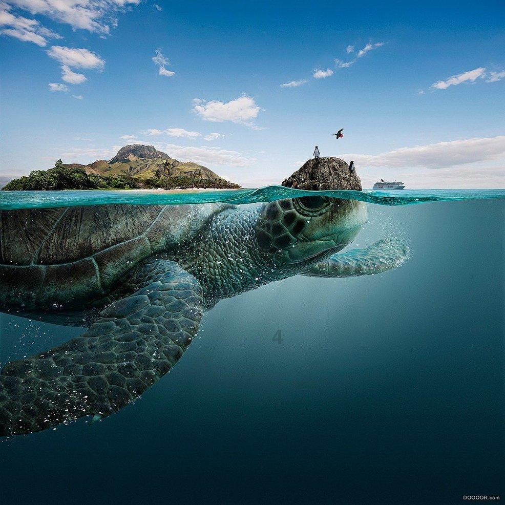 航海王