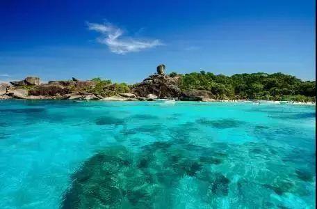 救助流浪人员温暖过冬，岳麓居民可拨打这个号码