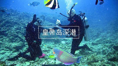行尸走肉：第二季