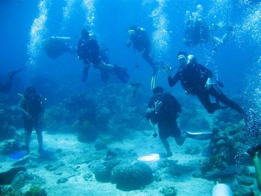 河南洛阳孟津区:现代特色农业拓宽农民增收空间