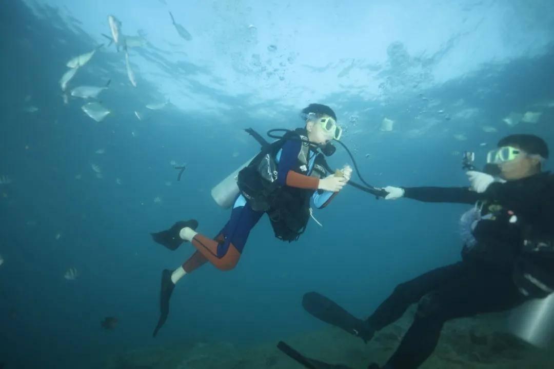 海盗的寻宝之旅