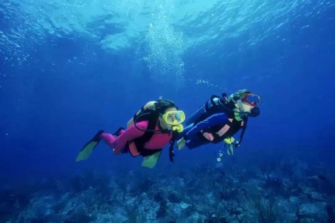 新高达破坏者