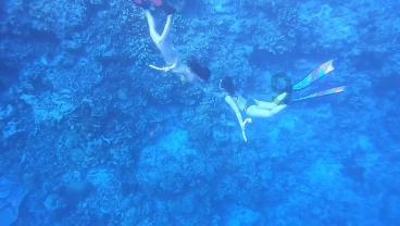 魔法季节沉睡大地