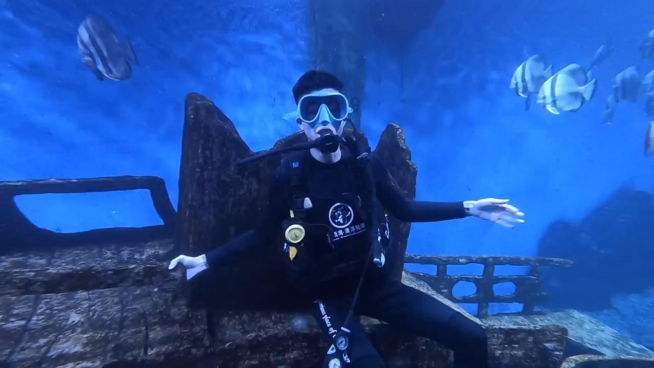 最美的校园女生66