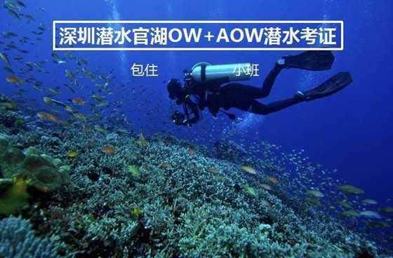 封堵小“心眼” 消除脑梗隐患