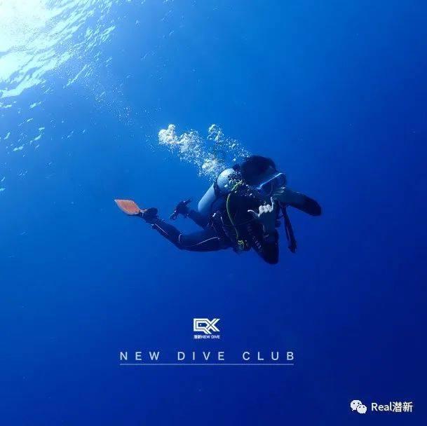 小猫钓鱼游戏龙王版有船