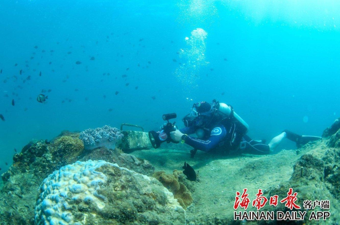 给我一个理由忘记，好吗游戏画面