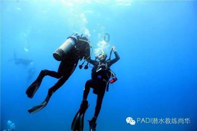逃出熊蜂森林