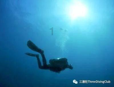 虫虫助手下载