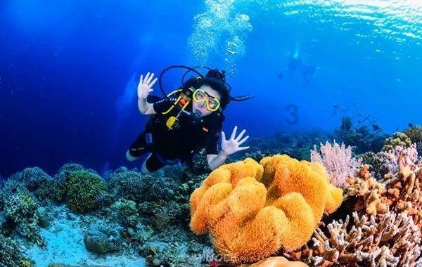 山珍年味“醉”乡愁，湖北通山首届年货节开幕