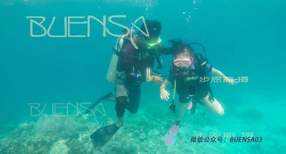 逃出奶油苹果屋