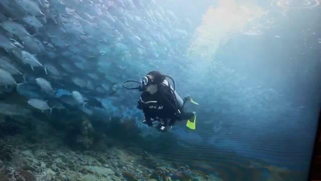 数学测试题2