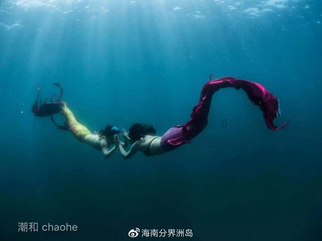 春雨直播app