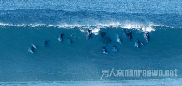 球球大作战下载最新版