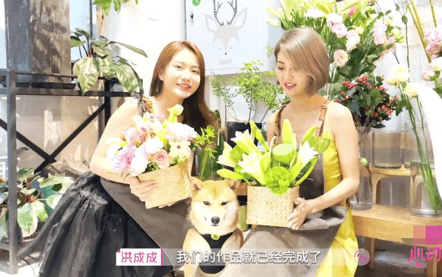 探索冷知识,尽在为什么明星中得抑郁症的人有很多?冷知识分享平台