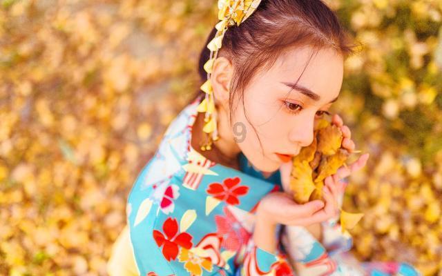 豪华轿车记忆卡