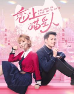 全民烧脑3去广告版