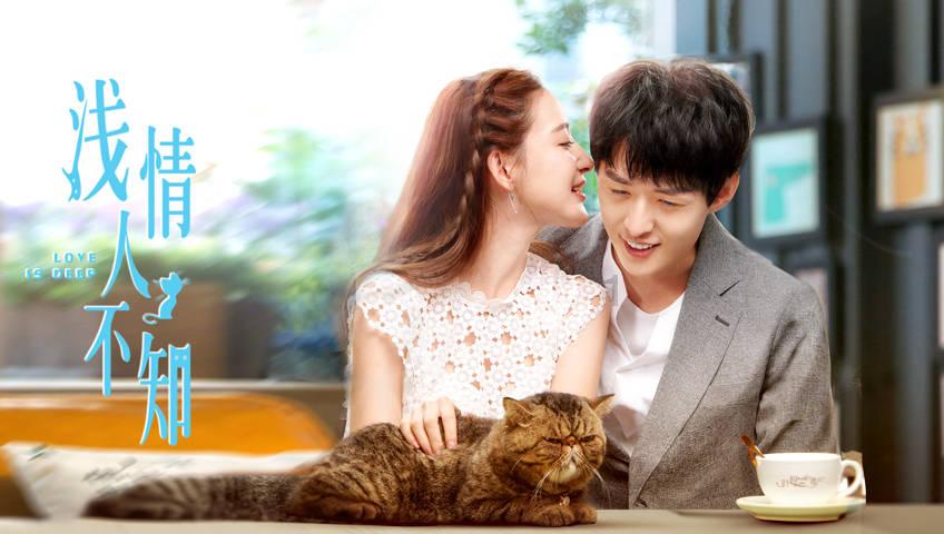 小猫钓鱼游戏龙王版有船