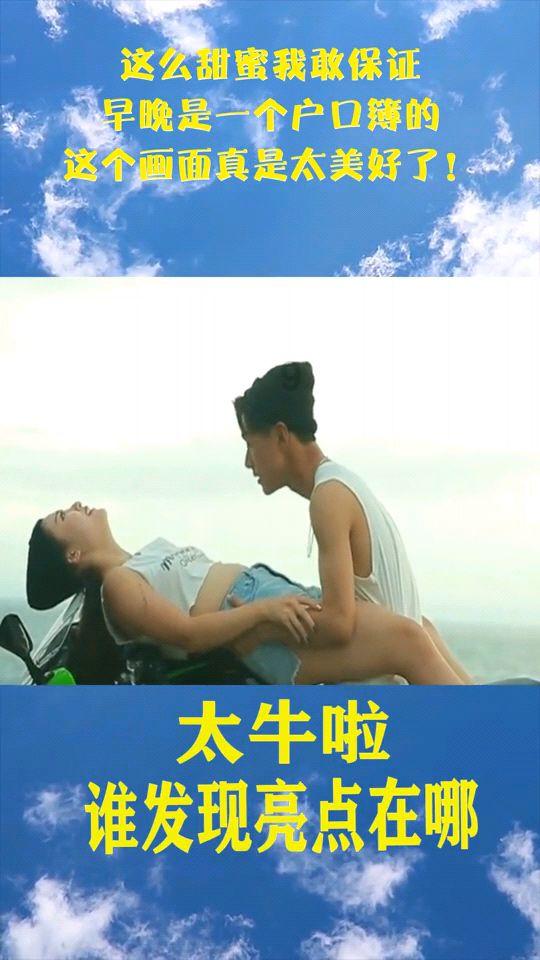 创作猫