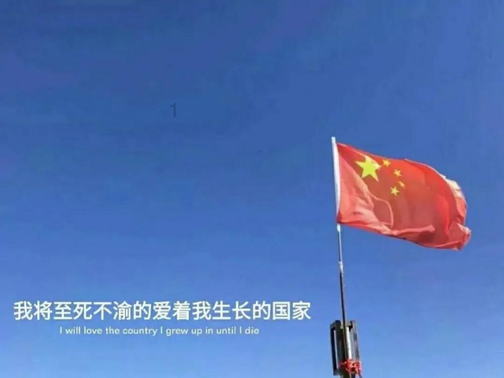 大猩猩库巴