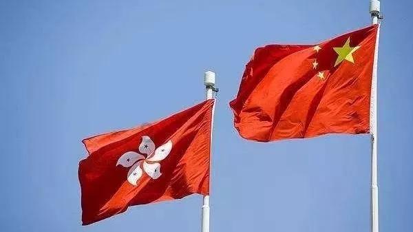 解救金刚鹦鹉