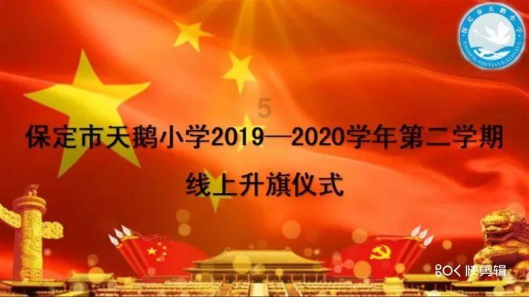 小猫钓鱼正版下载中文版