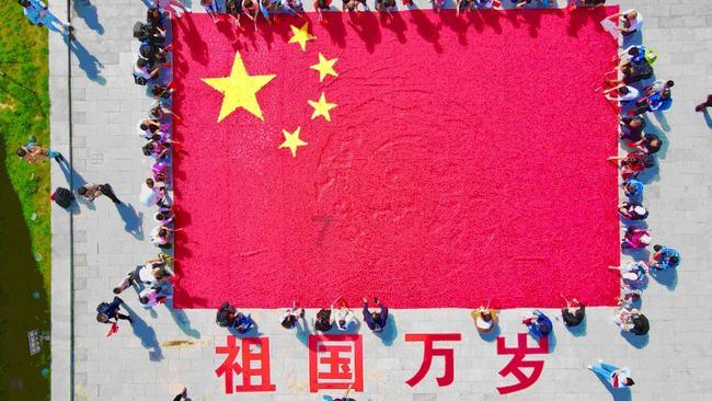 加入诺亚方舟是真是假?,打造你的知识星球