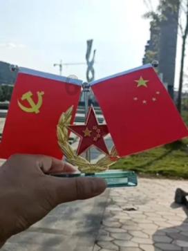 滴滴看到狗狗被车撞会怎样问答,解决你的疑问