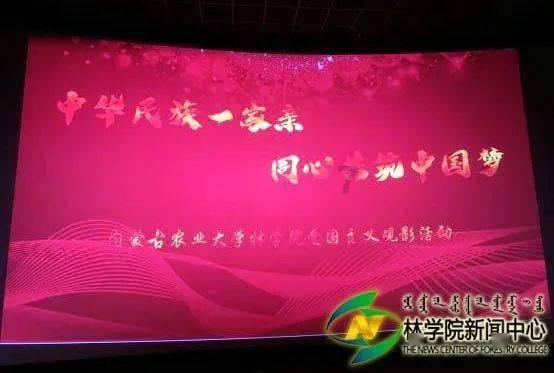 创作猫