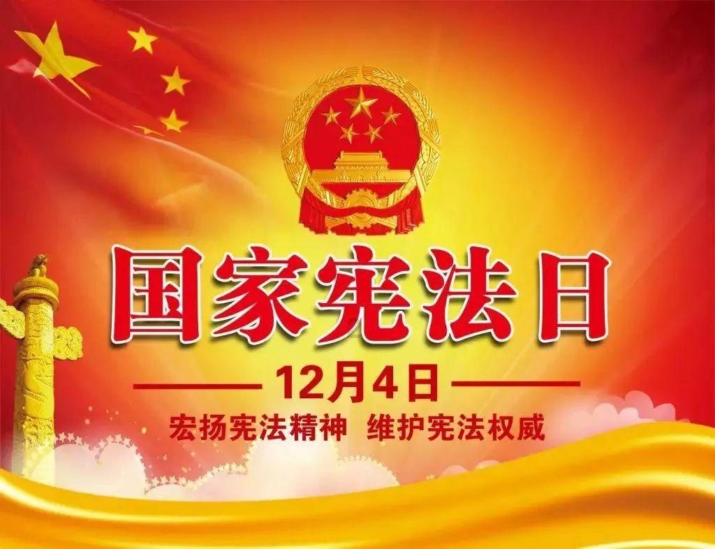细胞分裂4