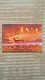 卡哇伊拳击手