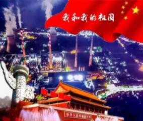 可爱猫咪救援