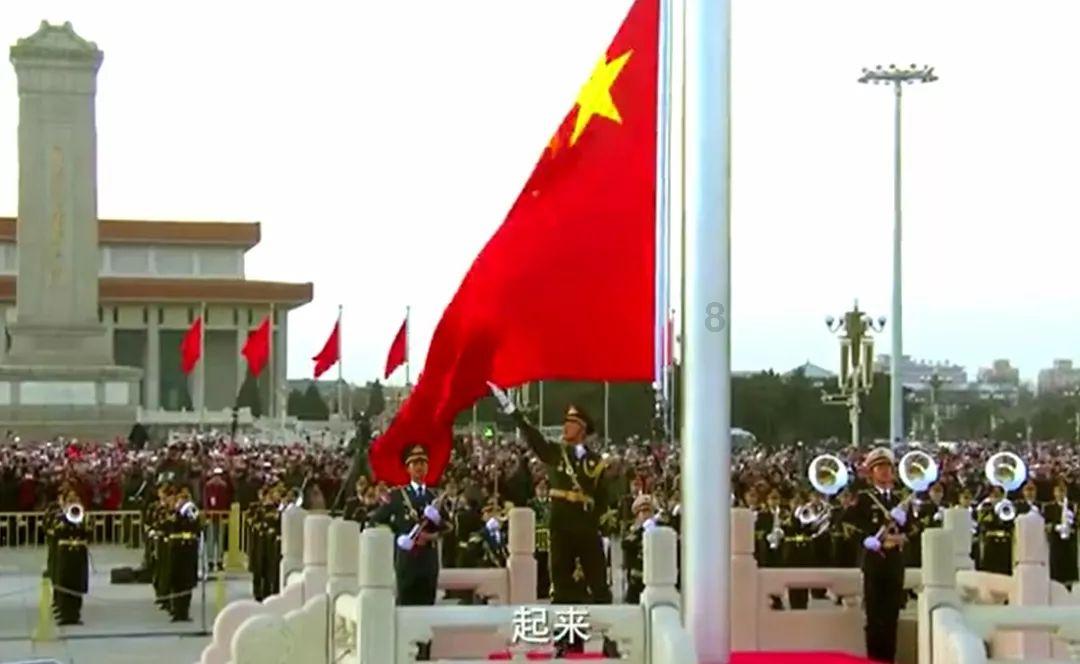 20张图片证明猫和狗之间有友谊:跨种族的爱是真实存在的!